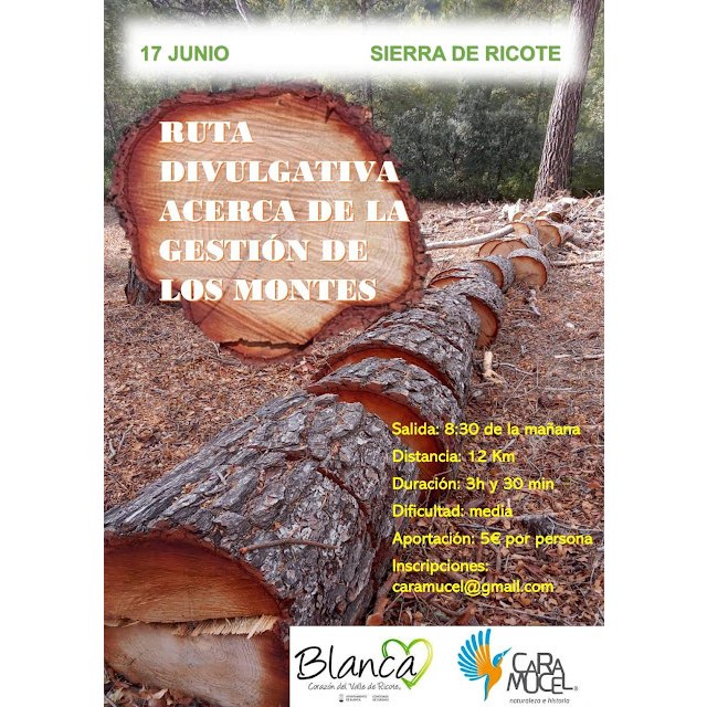 Ruta divulgativa sobre gestión forestal el 17 de junio en la Sierra de Ricote