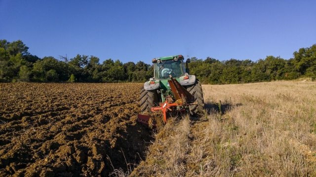 Cómo puedo ofrecerme para trabajar en el sector agrario?
