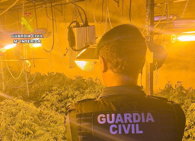 La Guardia Civil desmantela un grupo delictivo que cultivaba gran cantidad de marihuana en Ricote