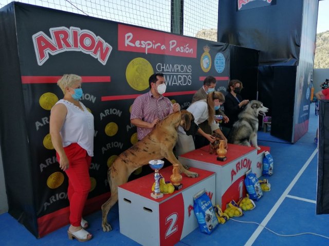 Exposición canina nacional de Ricote 2021