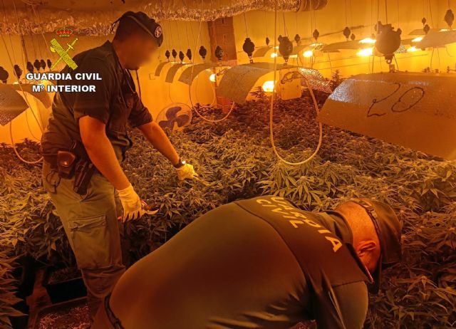 La Guardia Civil desmantela en el Valle de Ricote dos cultivos intensivos de marihuana