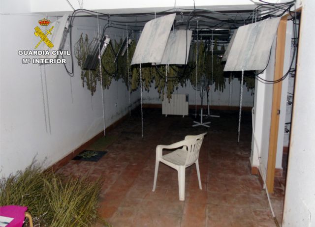 La Guardia Civil desmantela un invernadero clandestino de cultivo de marihuana en Ricote